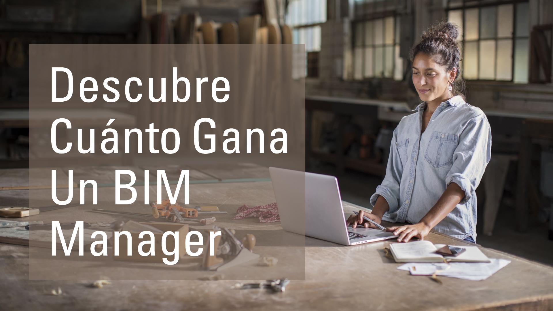 ¿Cúanto Cobra un BIM Manager?